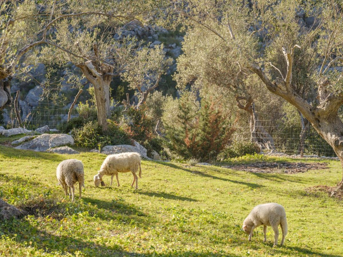 Agroturismo Muleta De Ca S'Hereu Puerto de Sóller 외부 사진